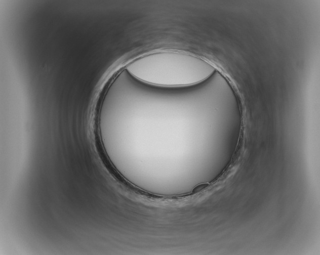 X0000113050007200908271104