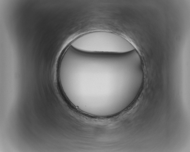 X0000113050008200908271104