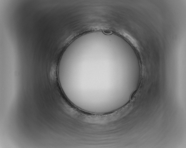 X0000113050009200908271104