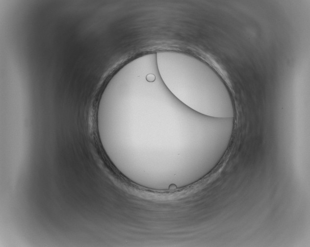 X0000113050010200908271104