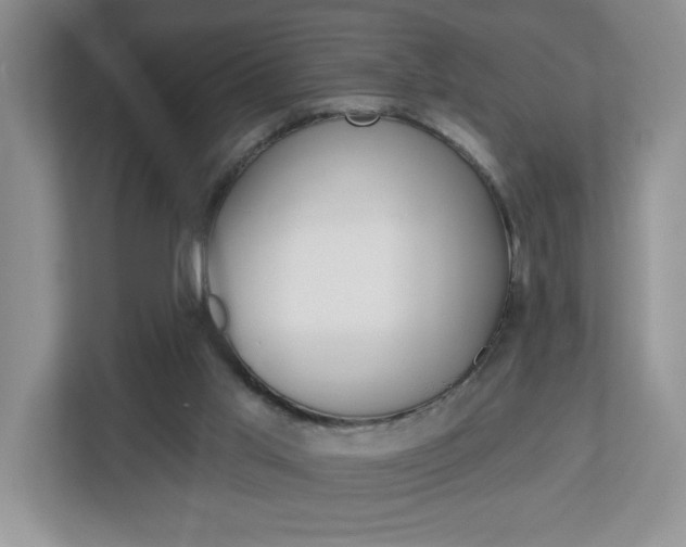 X0000113050013200908271104