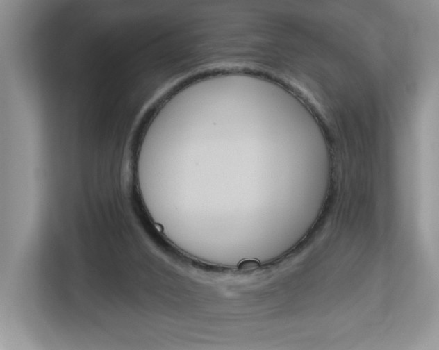 X0000113050016200908271104