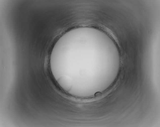 X0000113050018200908271104