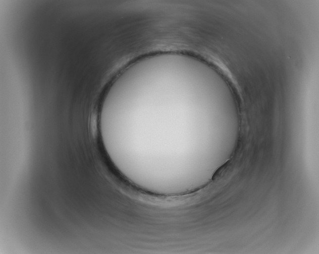 X0000113050019200908271104