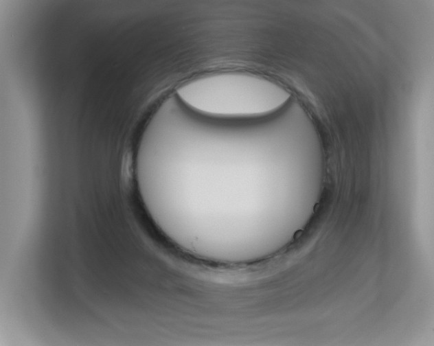 X0000113050024200908271104