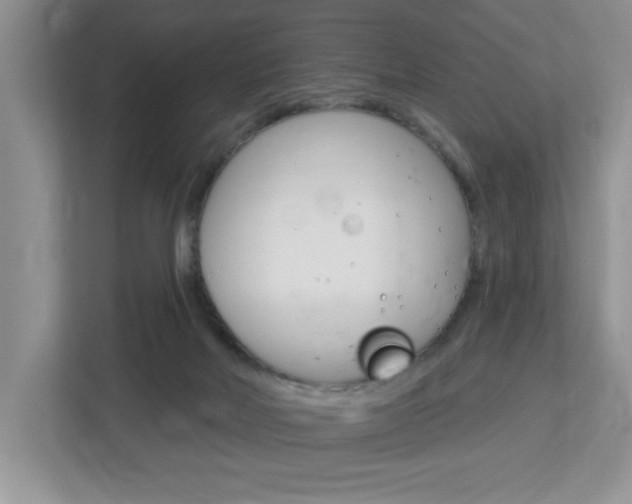 X0000113050026200908271104