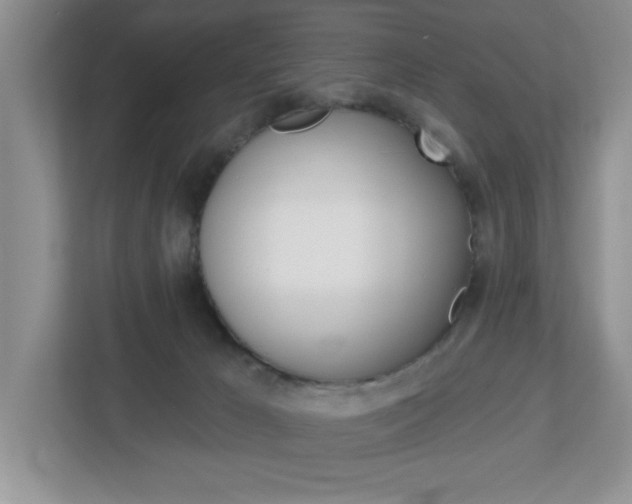X0000113050029200908271104