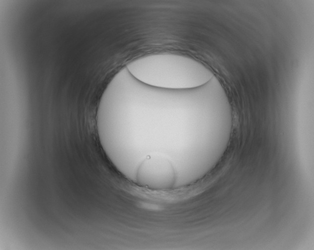 X0000113050030200908271104