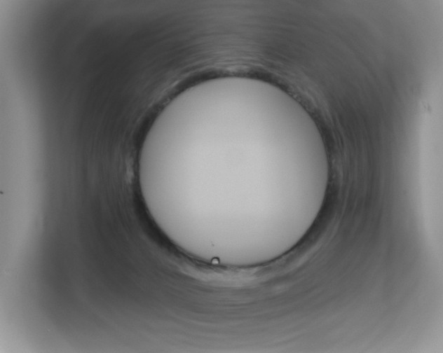 X0000113050032200908271104