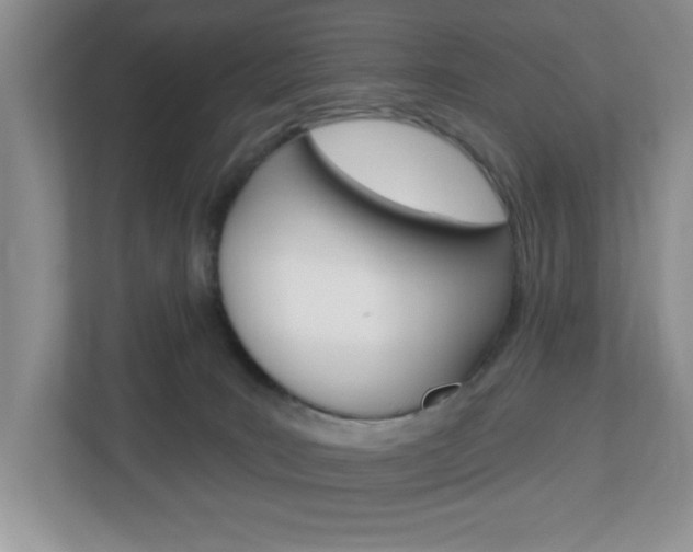 X0000113050035200908271104
