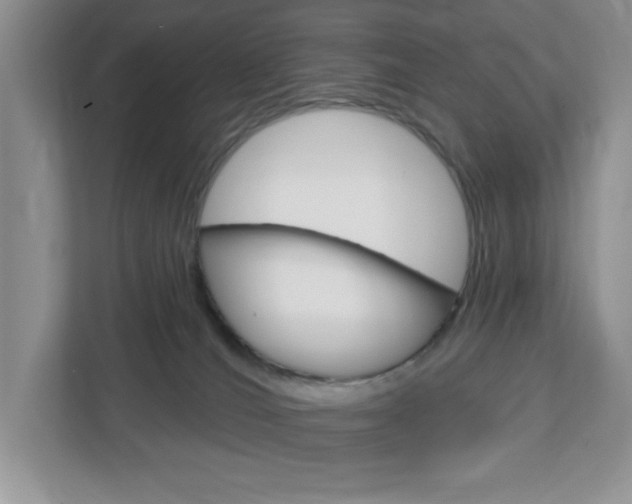 X0000113050036200908271104