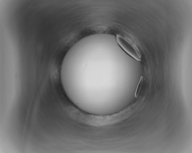 X0000113050037200908271104