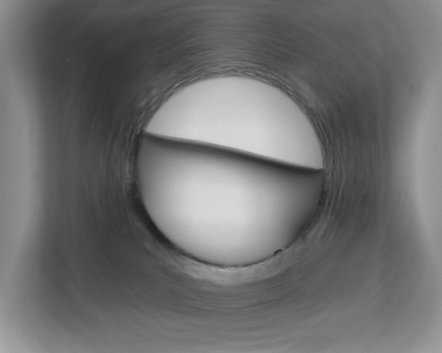 X0000113050039200908271104