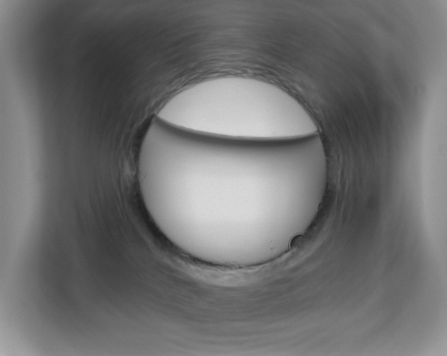 X0000113050040200908271104