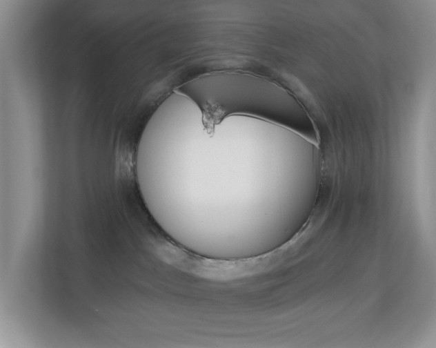 X0000113050045200908271104