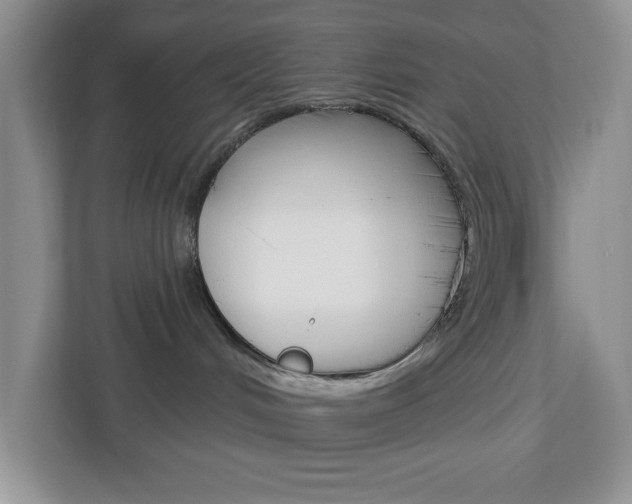 X0000113050048200908271104