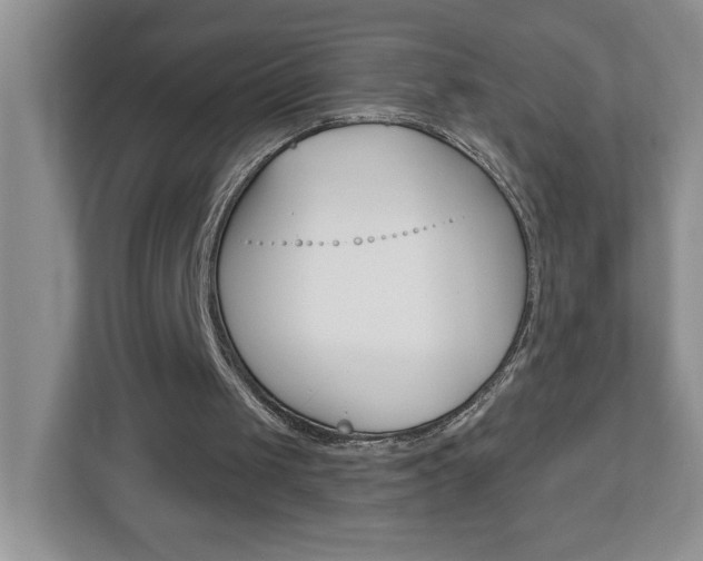 X0000113050049200908271103