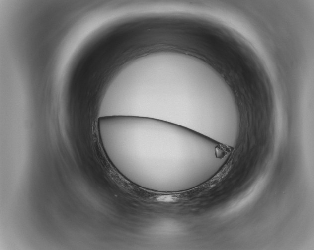 X0000113050050200908271103