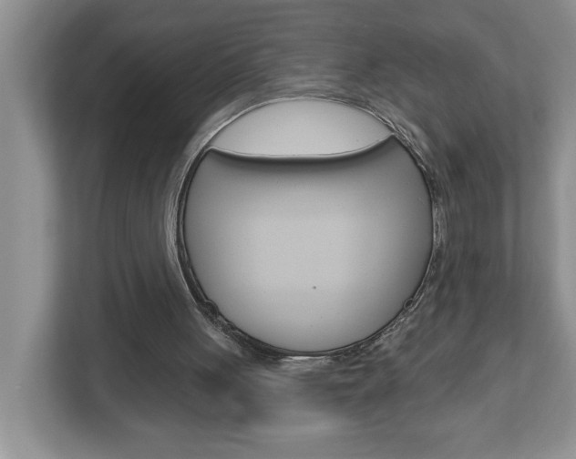 X0000113050051200908271103