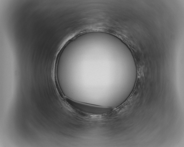 X0000113050052200908271103
