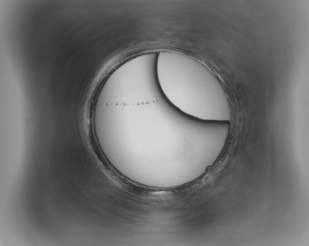 X0000113050053200908271103