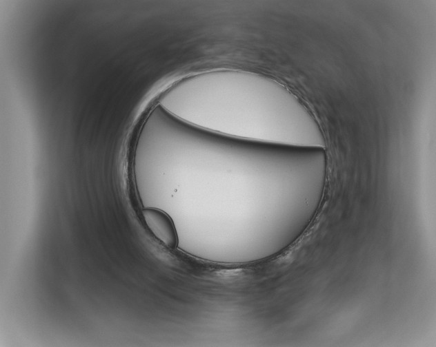 X0000113050054200908271103