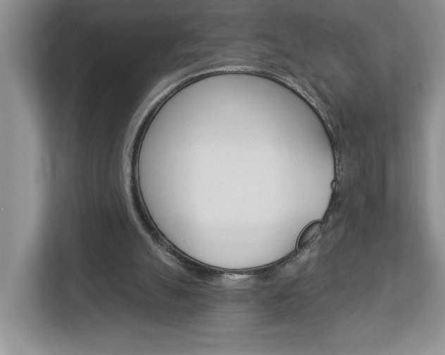 X0000113050055200908271103