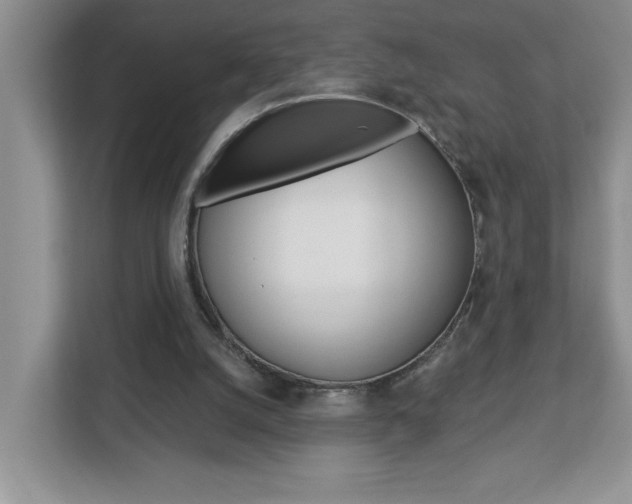 X0000113050056200908271103