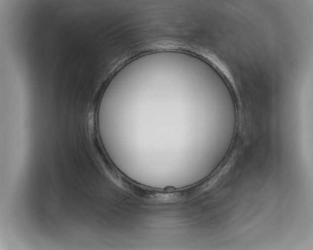 X0000113050057200908271103