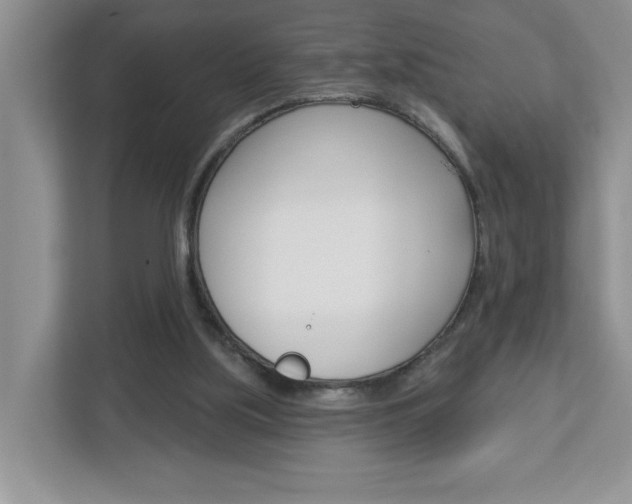 X0000113050059200908271103