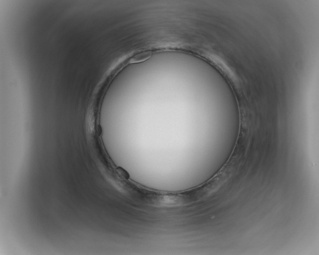 X0000113050060200908271103