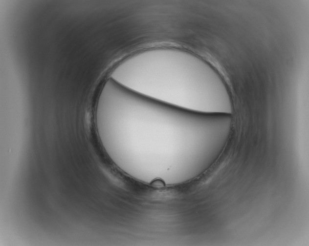 X0000113050063200908271103