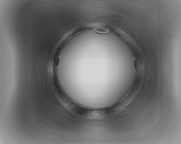 X0000113050064200908271103