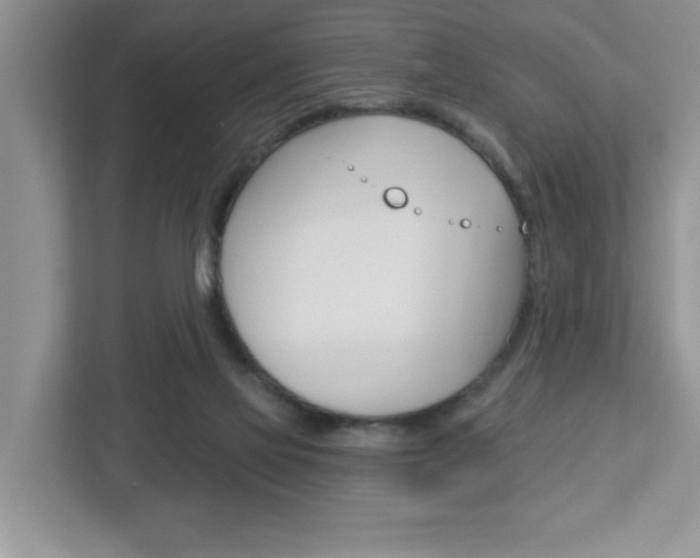 X0000113050069200908271103