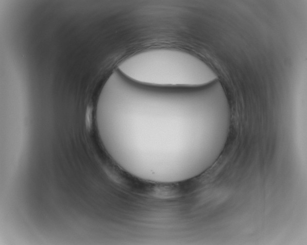 X0000113050070200908271103