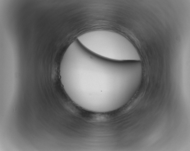 X0000113050073200908271103