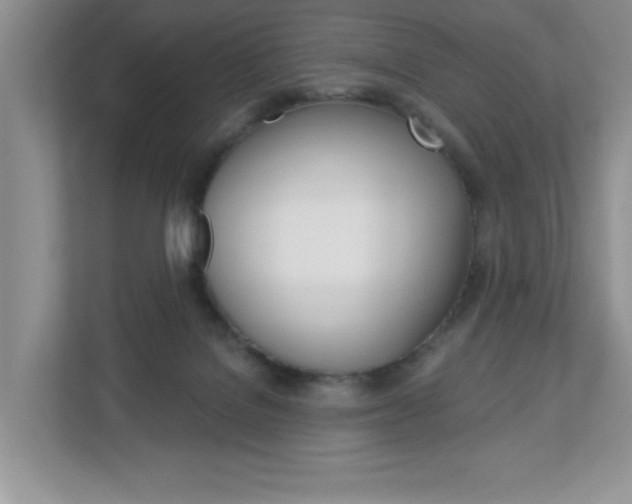 X0000113050076200908271103
