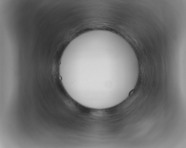 X0000113050079200908271103