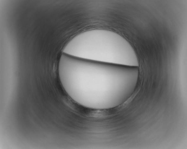 X0000113050082200908271103