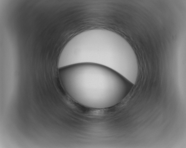X0000113050084200908271103
