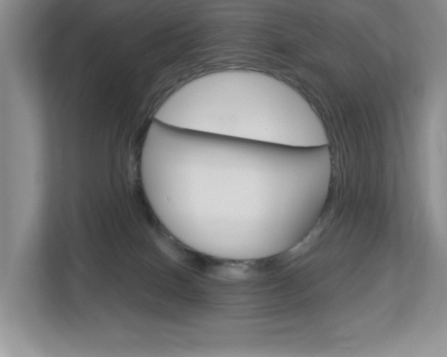 X0000113050086200908271104