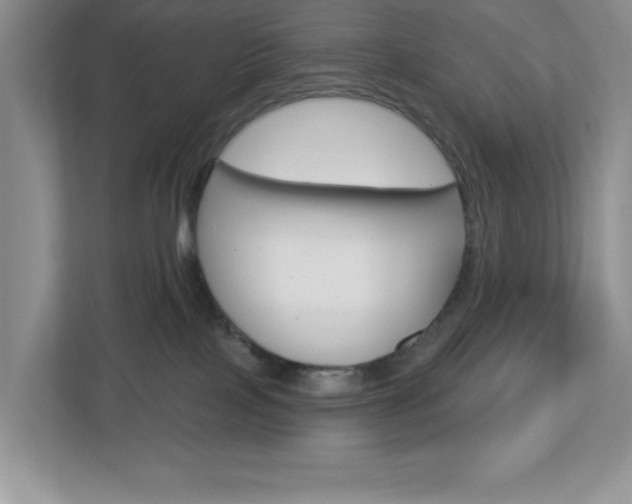 X0000113050089200908271104
