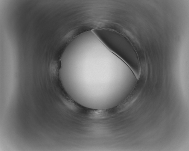 X0000113050092200908271104