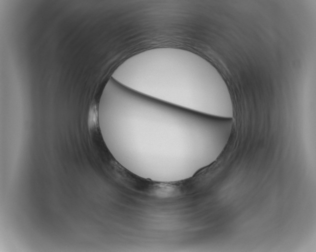 X0000113050095200908271104