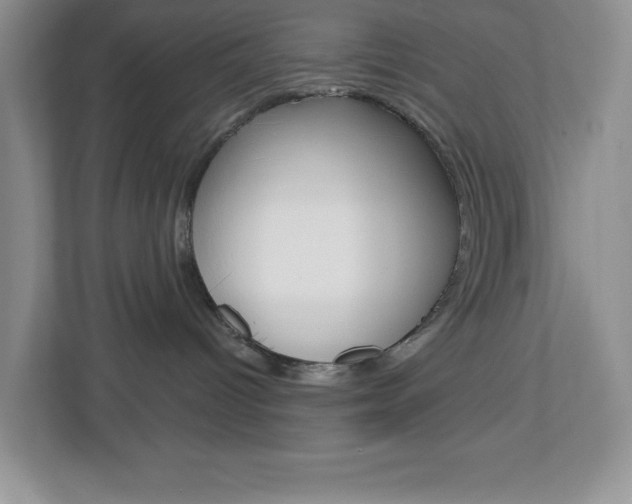 X0000113050096200908271104