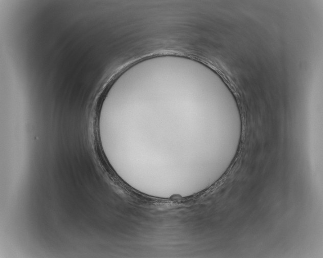 X0000113050098200908271103
