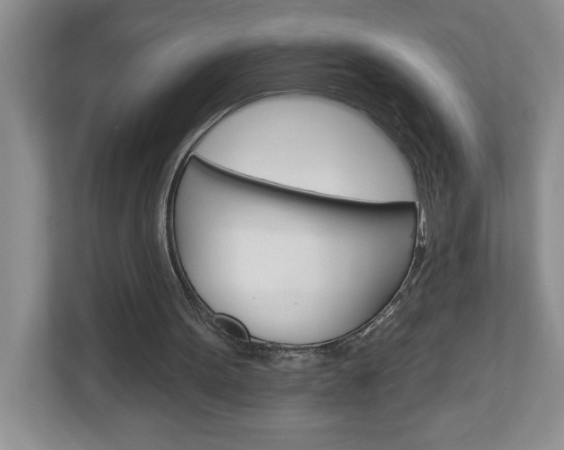 X0000113050099200908271103