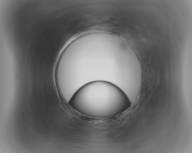 X0000113050100200908271103
