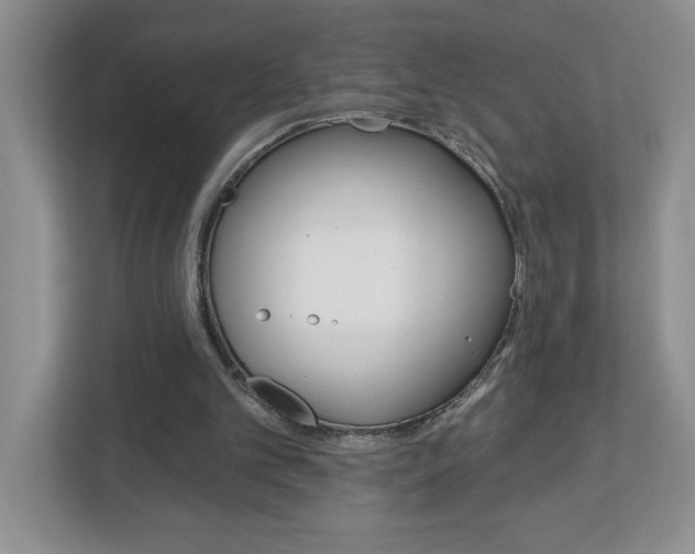 X0000113050101200908271103
