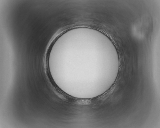 X0000113050102200908271103